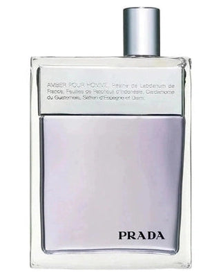 Amber Pour Homme Sample & Decants by Prada