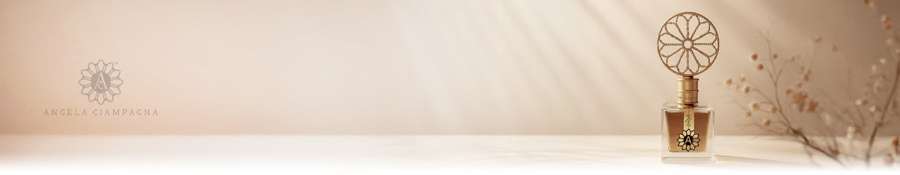 Angela Ciampagna collection banner