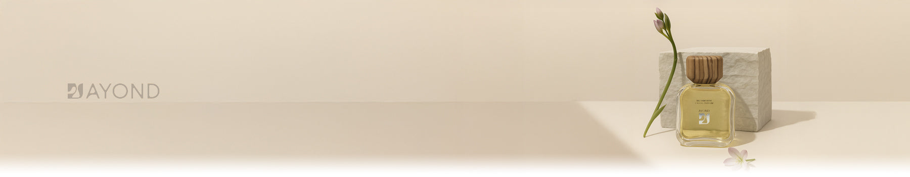 Ayond collection banner