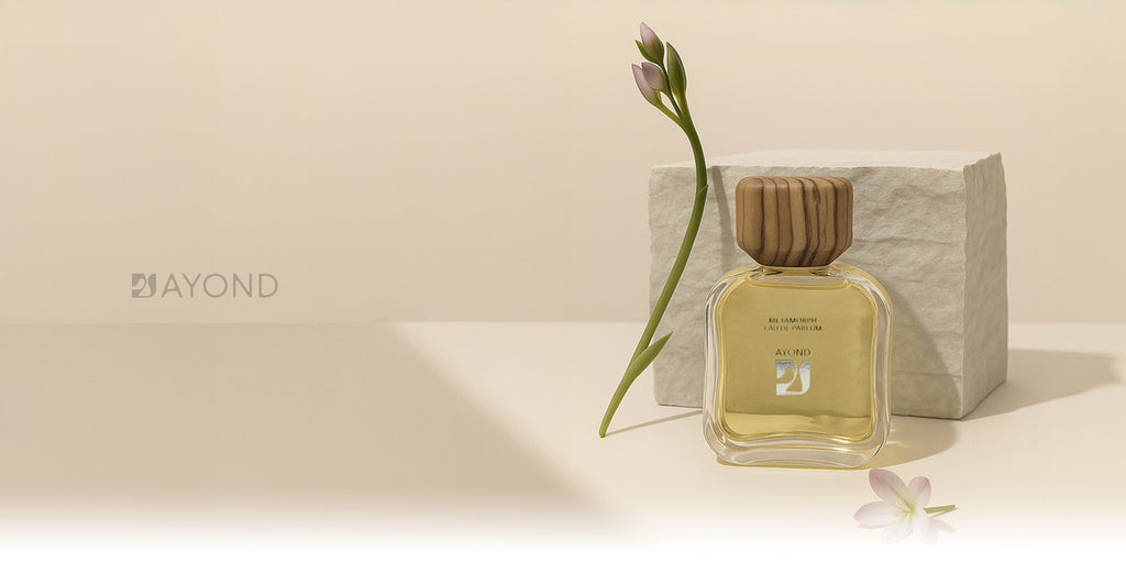 Ayond collection banner