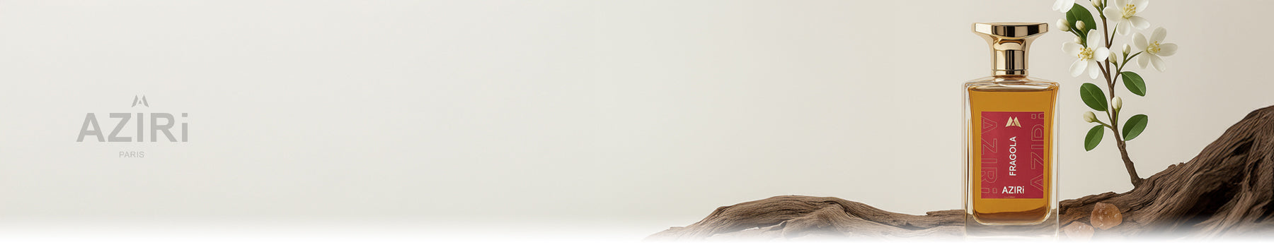 Aziri Paris collection banner