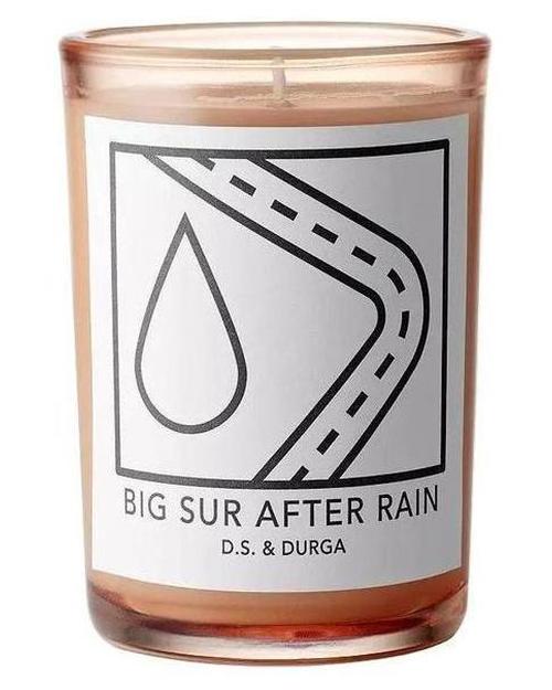 Big Sur After Rain Candle-D.S. & Durga samples & decants -Scent Split