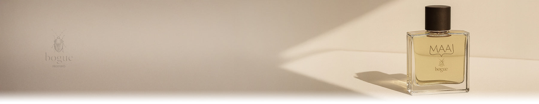 Banner de la colección Bogue