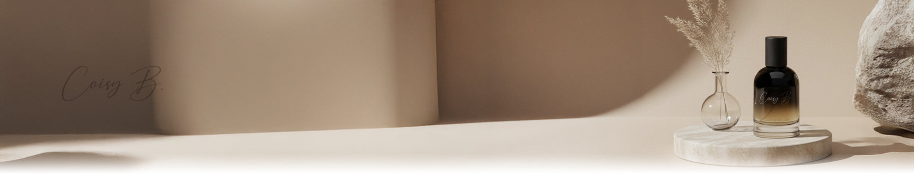 Banner de la colección Coisy B.