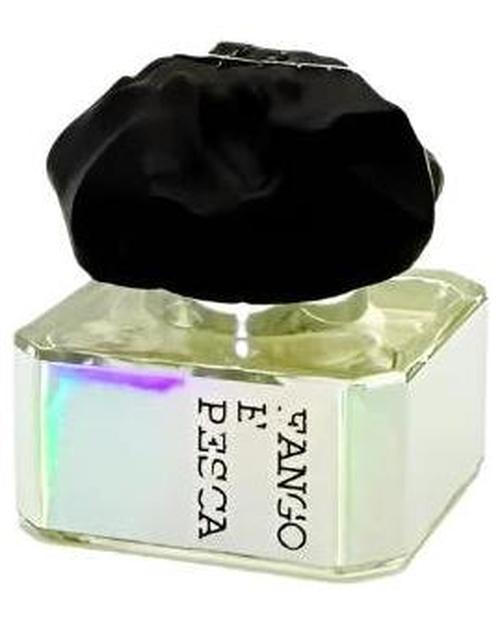 Fango e Pesca-Filippo Sorcinelli samples & decants -Scent Split