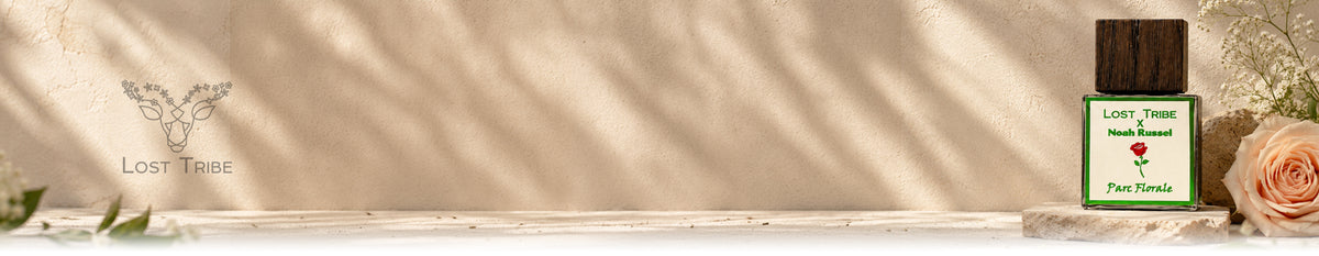 Lost Tribe collection banner