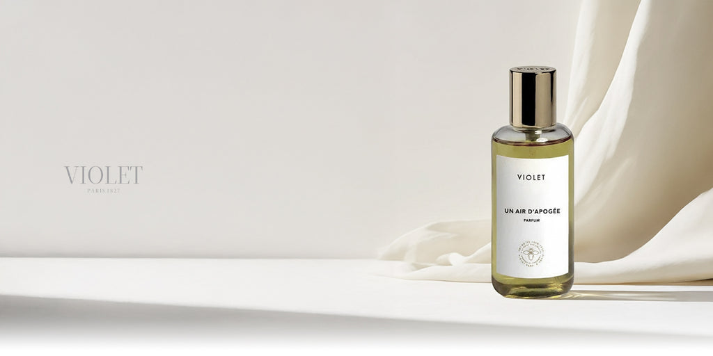 Maison Violet collection banner