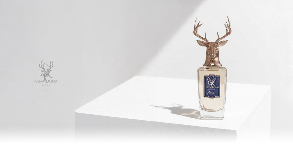 Pana Dora collection banner