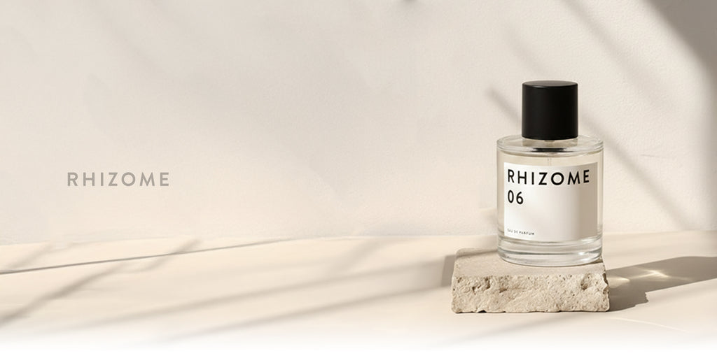 Rhizome collection banner