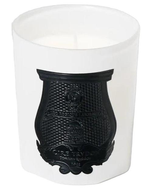 Rose Poivrée Candle-Trudon samples & decants -Scent Split