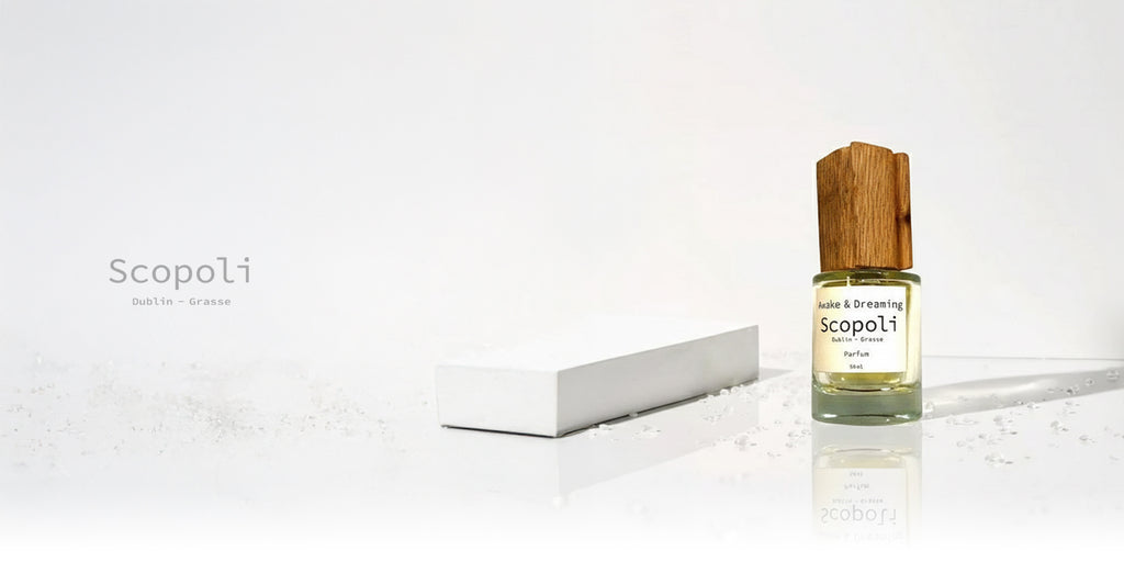 Scopoli collection banner