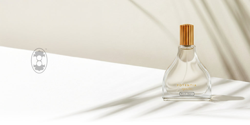 The House Of Potentia collection banner