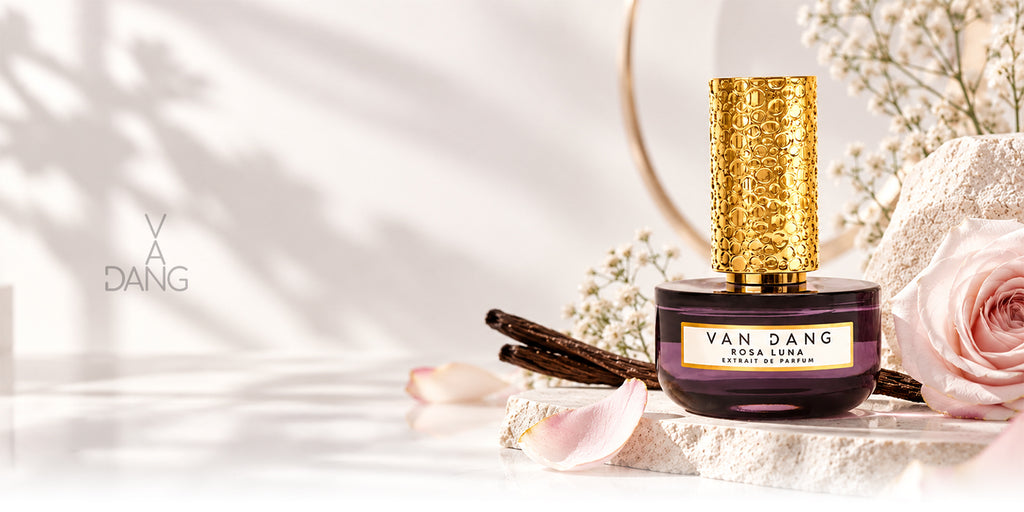 Van Dang collection banner