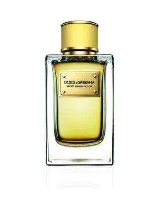 Velvet Mimosa Bloom-Dolce & Gabbana samples & decants -Scent Split