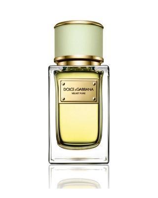 Velvet Pure-Dolce & Gabbana samples & decants -Scent Split