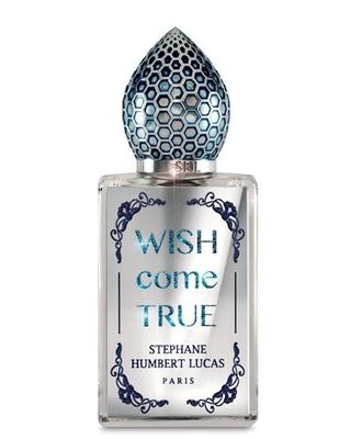 Wish Come True