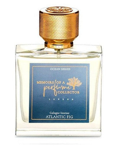 Atlantic Fig