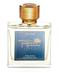 Atlantic Fig