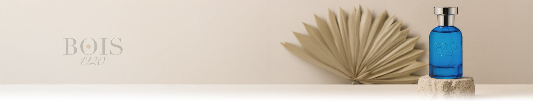 Bois 1920 collection banner