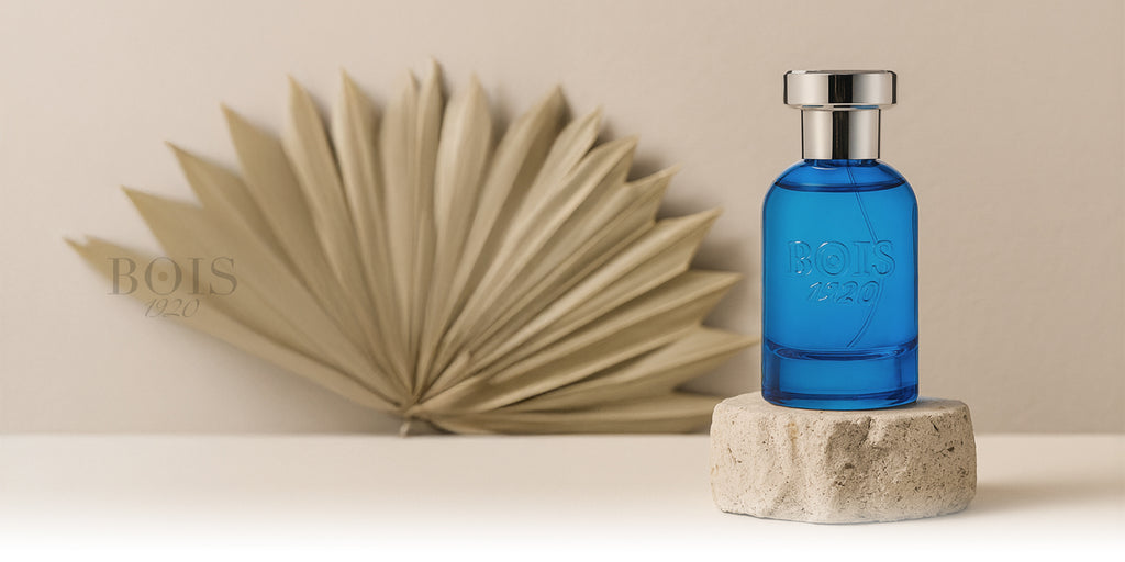 Bois 1920 collection banner