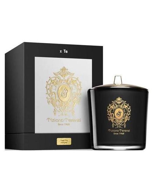 Capri Fig Scented Candle-Tiziana Terenzi samples & decants -Scent Split