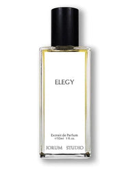 Elegy