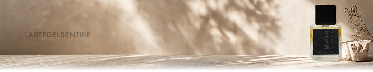 Banner de la colección Lartedelsentire