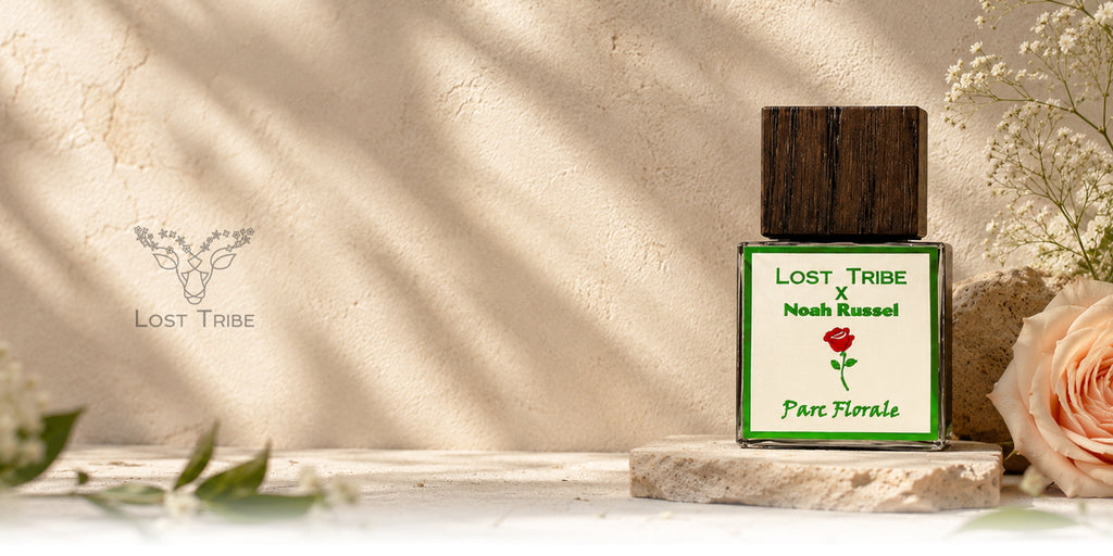 Lost Tribe collection banner