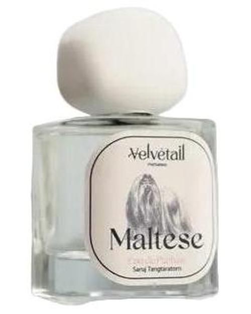 Maltese-Velvétail samples & decants -Scent Split