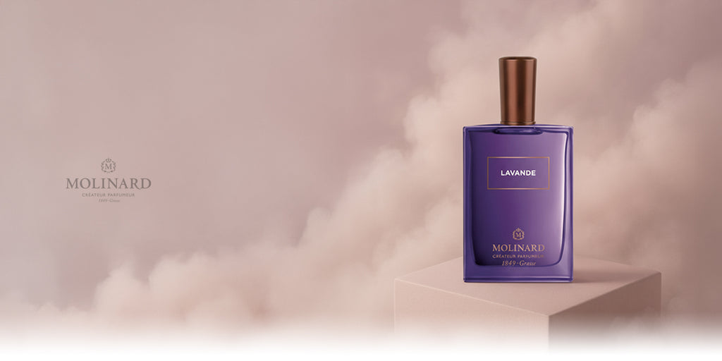 Molinard collection banner