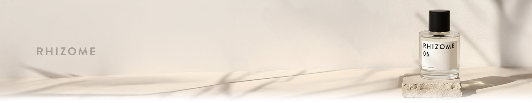 Rhizome collection banner