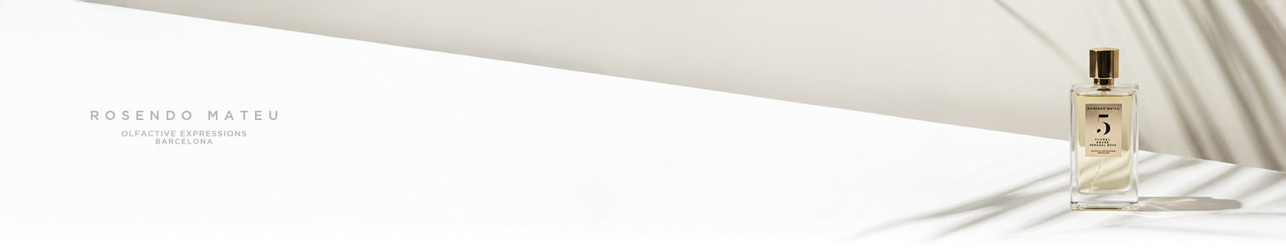 Rosendo Mateu collection banner