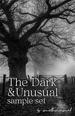 The Dark & Unusual: Curated Selection by ismellunusual-Scent Split samples & decants -Scent Split