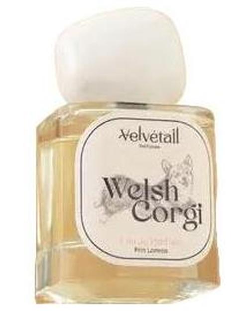 Welsh Corgi-Velvétail samples & decants -Scent Split
