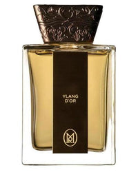 Ylang d'Or