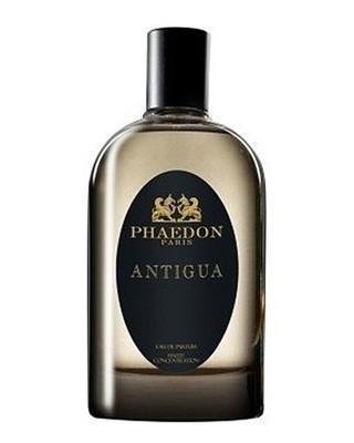 Antigua-Phaedon samples & decants -Scent Split
