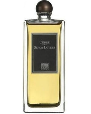Cedre Sample & Decants by Serge Lutens – Scent Split
