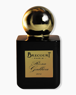 Rosa Gallica-Brecourt samples & decants -Scent Split